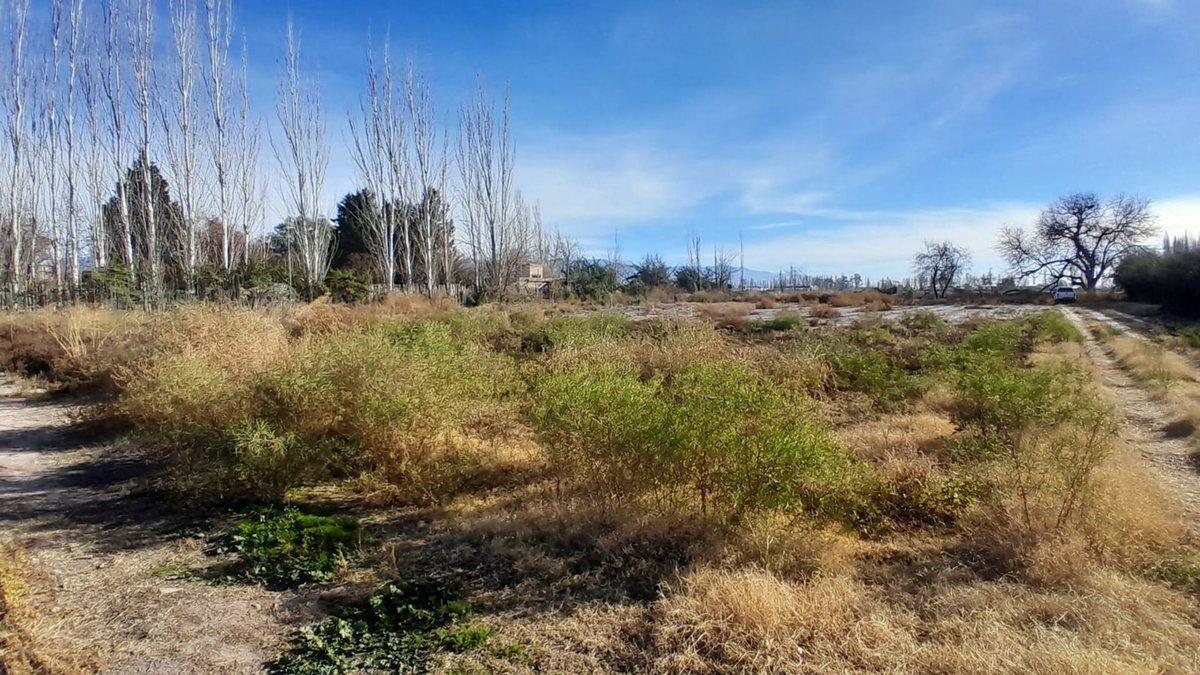 Venta Terreno 5.394 m² - Calle Olavarria - Lujan - Mza 5