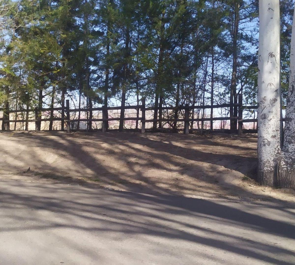Loteo Altos de Uco - Colonia Las Rosas 5