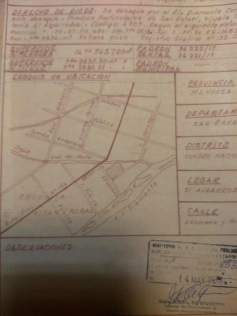Plano 1