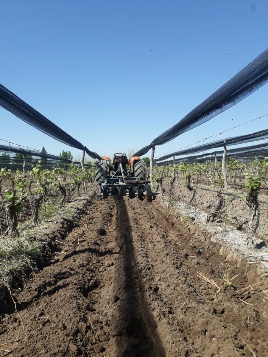 Finca 2,6 Ha de Malbec con Tela 2
