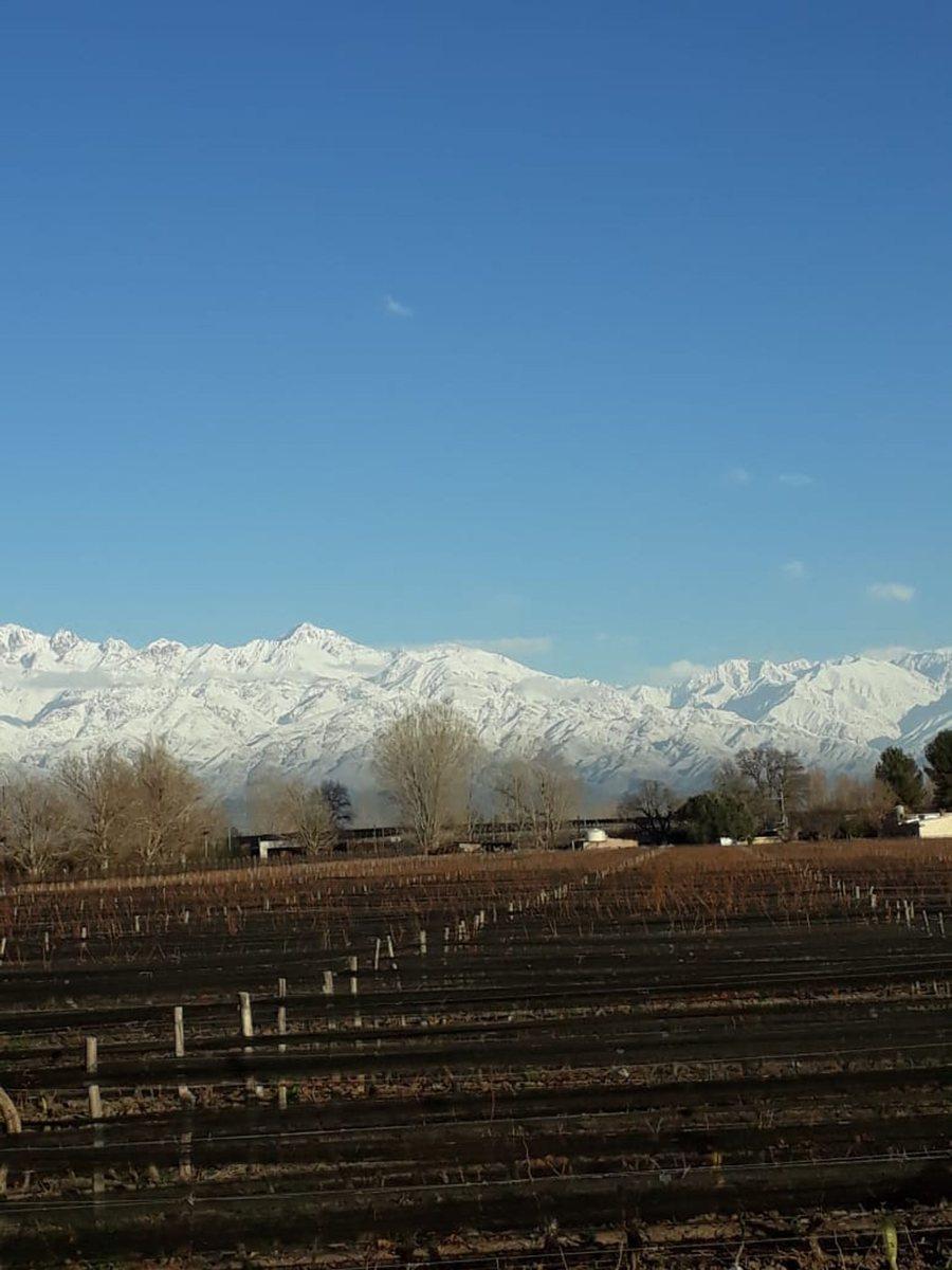 Finca 2,6 Ha de Malbec con Tela 1