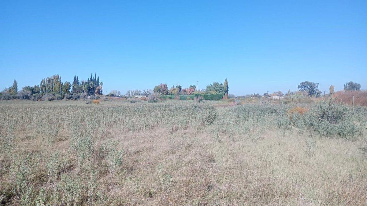 Venta de Lote en Calle 2 de Mayo. Los Corralitos 4