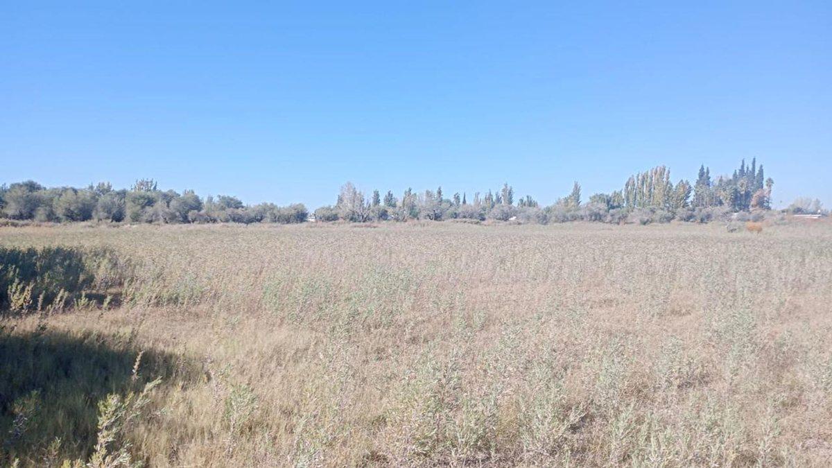 Venta de Lote en Calle 2 de Mayo. Los Corralitos 1