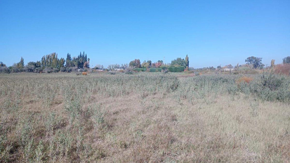 Venta de Lote en Calle 2 de Mayo. Los Corralitos 2