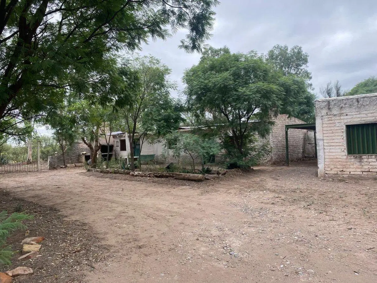 Campo en venta - Cuadro Nacional -San Rafael 3