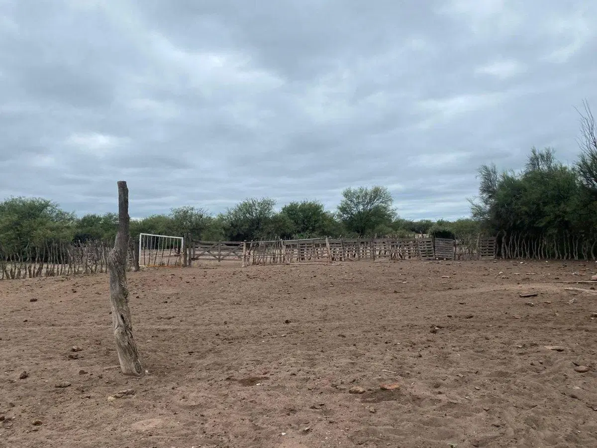 Campo en venta - Cuadro Nacional -San Rafael 5