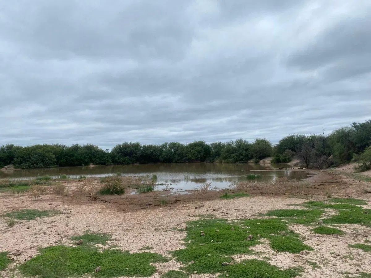 Campo en venta - Cuadro Nacional -San Rafael 2