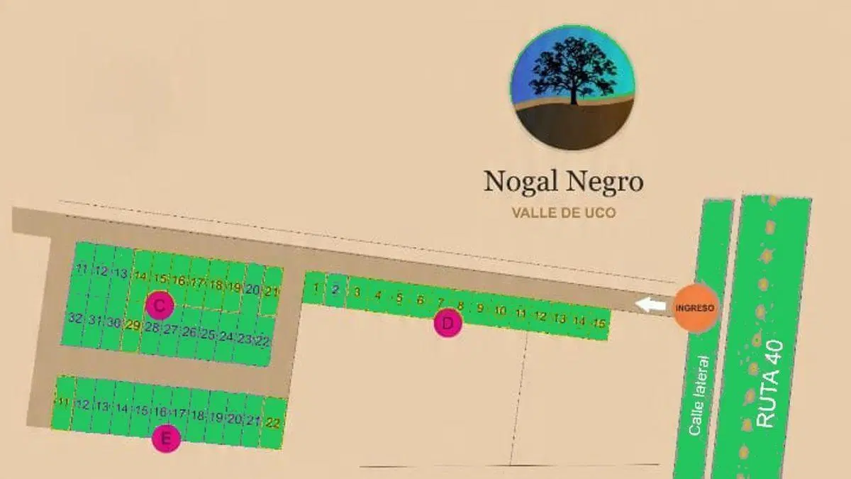 Venta Lote 400 m² Tupungato El Nogal Negro RN 40 3