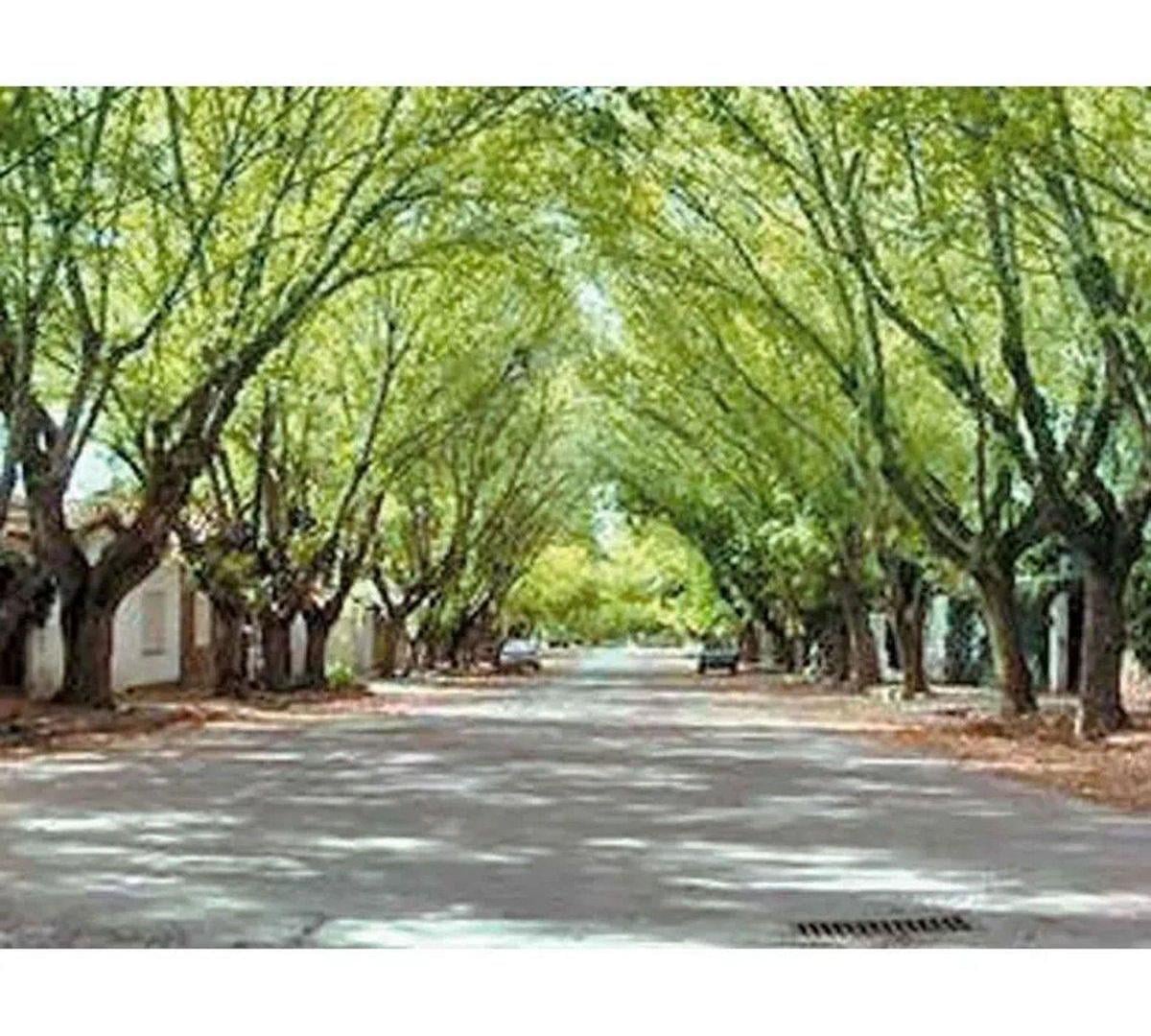 OPORTUNIDAD COMERCIAL - Alquiler CHACRAS DE CORIA