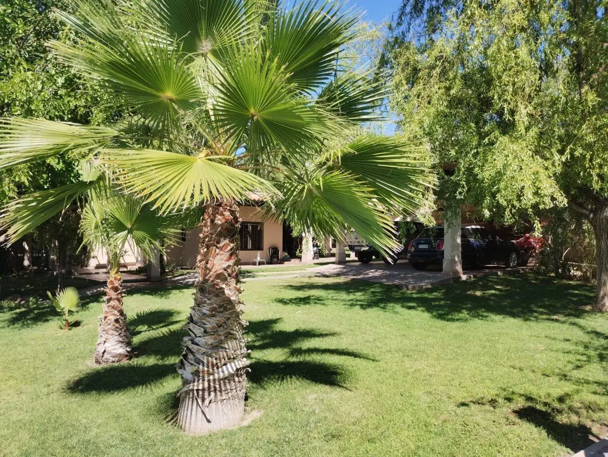 Casa de categoria en venta en Vistalba 5
