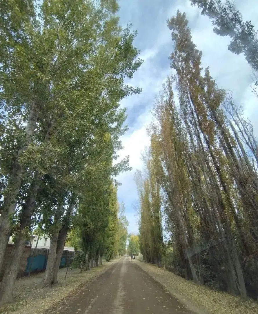 Lote en Barrio Privado "ARISTO" Guaymallen 5