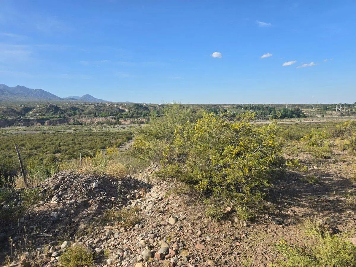VENTA GRAN TERRENO - ZONA INDUSTRIAL LUJAN DE CUYO 3