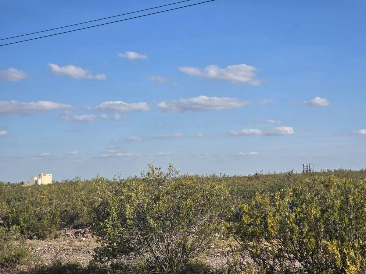 VENTA GRAN TERRENO - ZONA INDUSTRIAL LUJAN DE CUYO 4