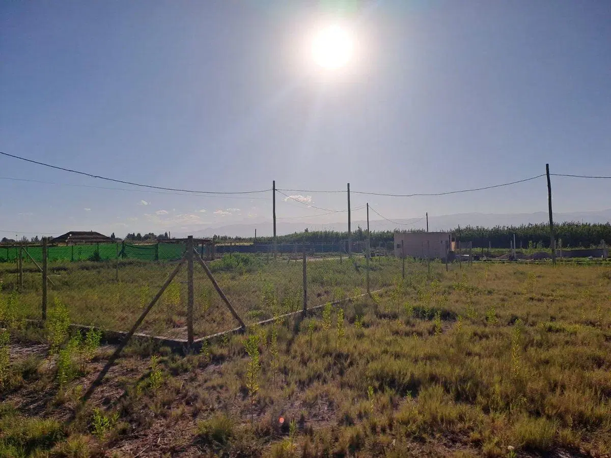 TERRENO EN VENTA  DE 380 M2,  MAIPÚ MENDOZA 2