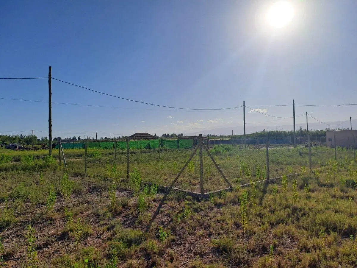 TERRENO EN VENTA  DE 380 M2,  MAIPÚ MENDOZA 3