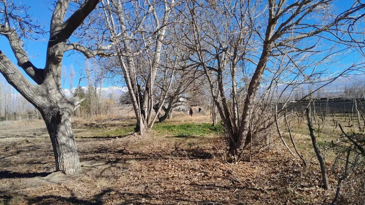 VENTA lote de 1450m2 Tupungato "BAJAMOS PRECIO" 2