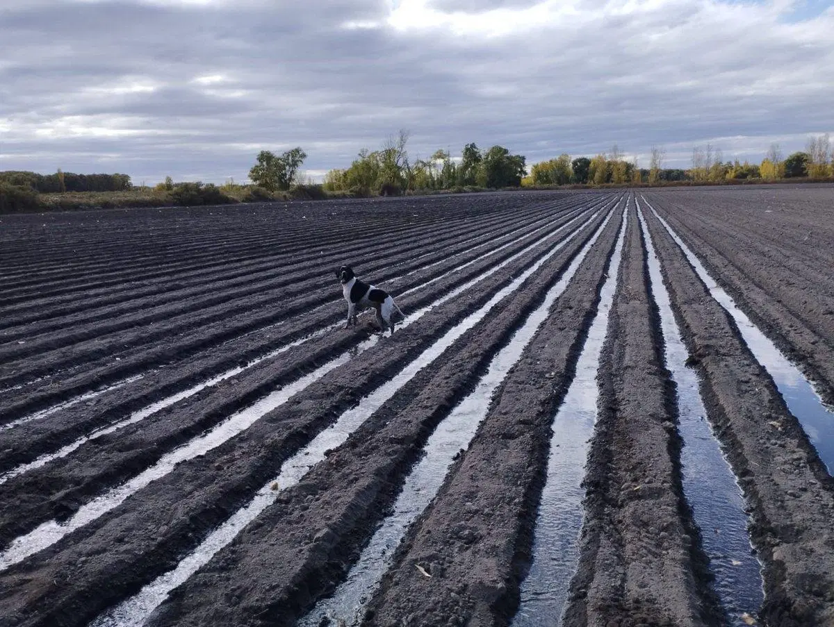 FINCA 16 HAS PARA CHACRA EN SAN CARLOS 3