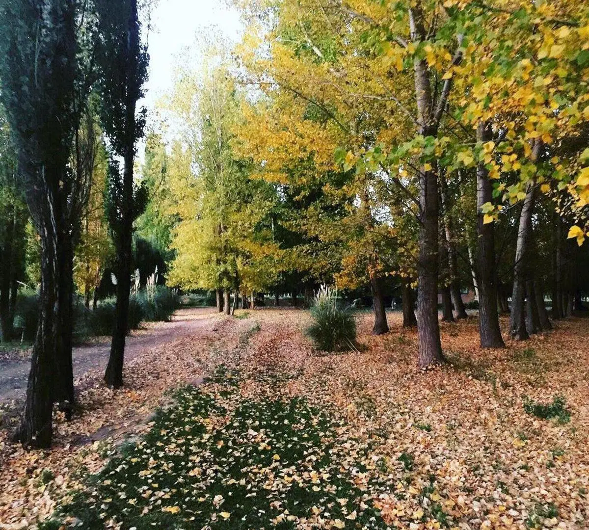 Venta de lote en Uspallata 2000 mt Barrio Privado 3