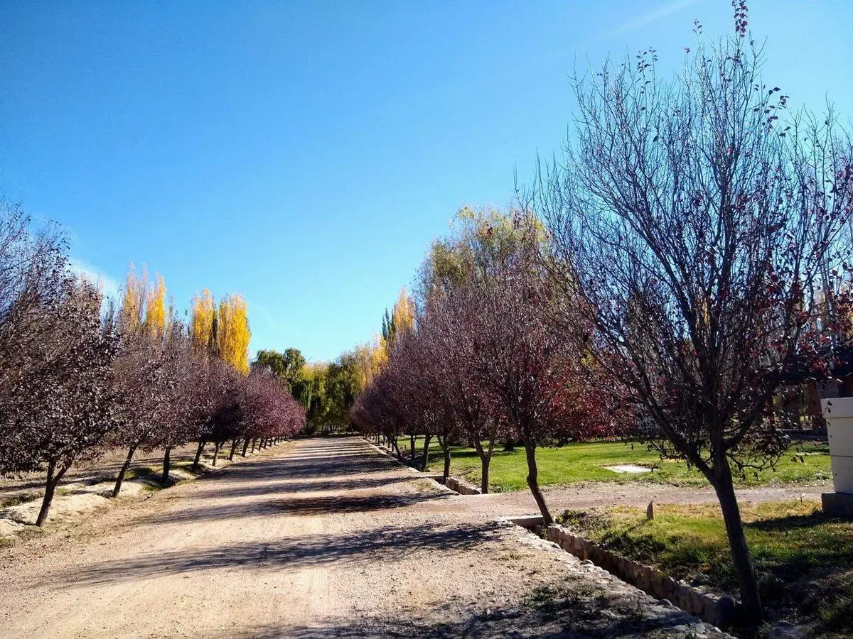 Venta de lote en Uspallata 2000 mt Barrio Privado 5