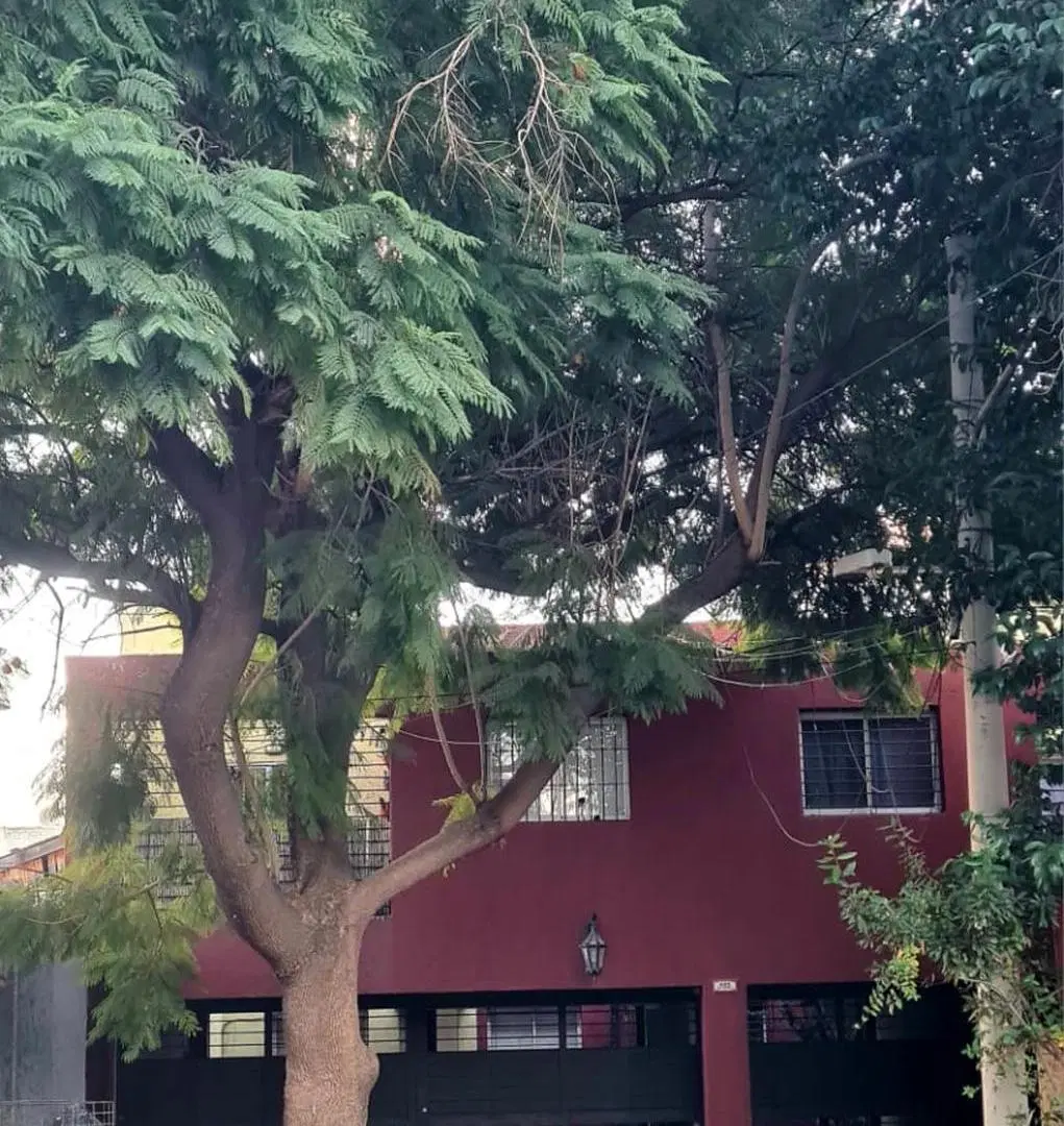 Departamento 2 dormitorios c/cochera en Bombal Sur 3