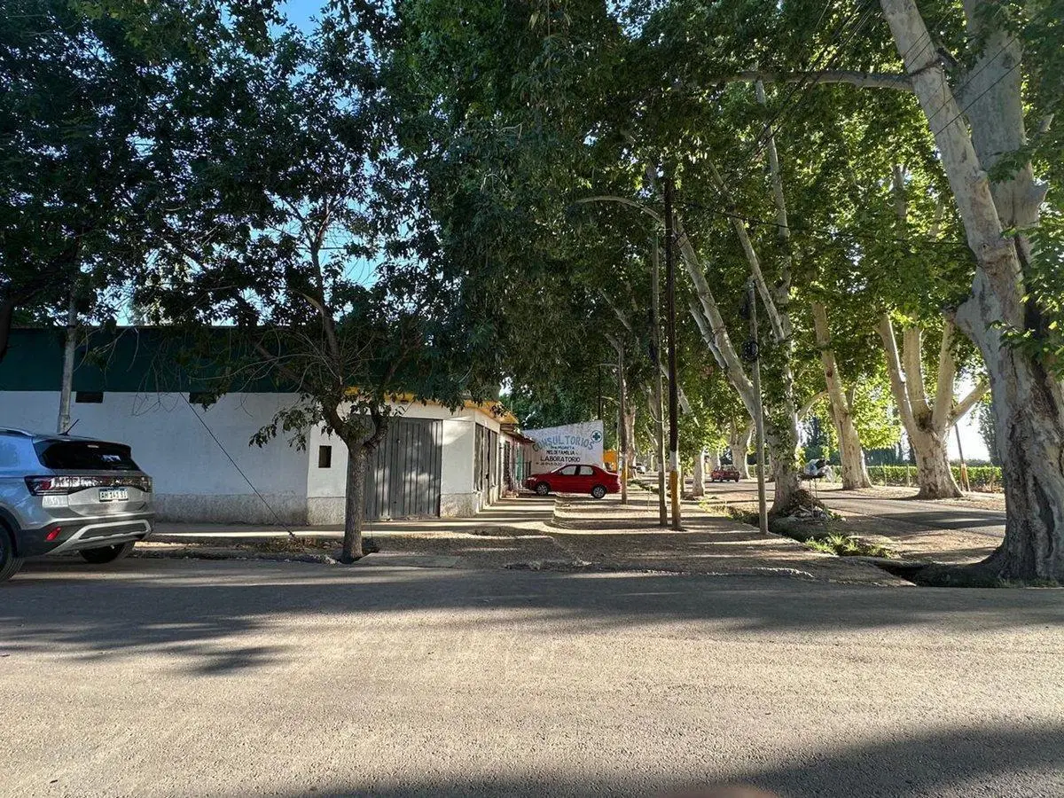SALÓN COMERCIAL ESQUINA ESTRATÉGICA DE AGRELO 2