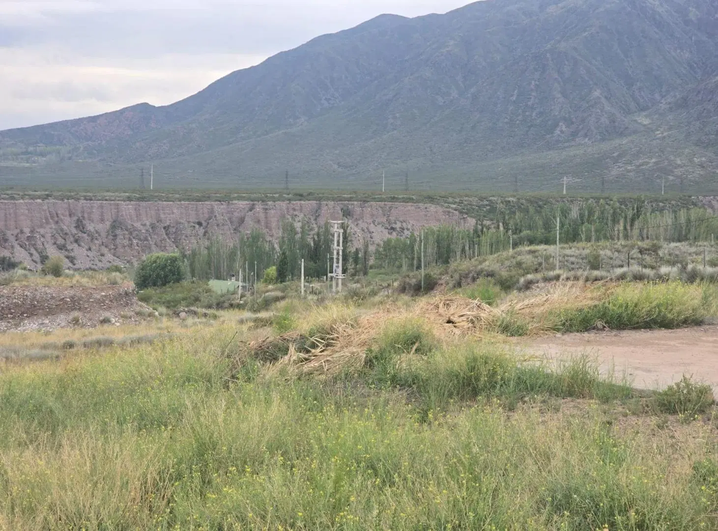 VENTA DE LOTES EN ZONA COMERCIAL DE CACHEUTA 3