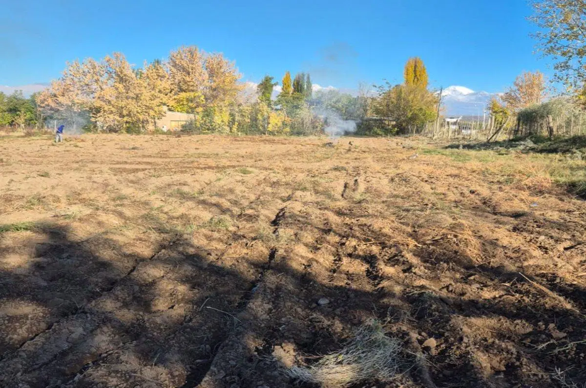 LOTE DE 478 m2.  TUPUNGATO 5