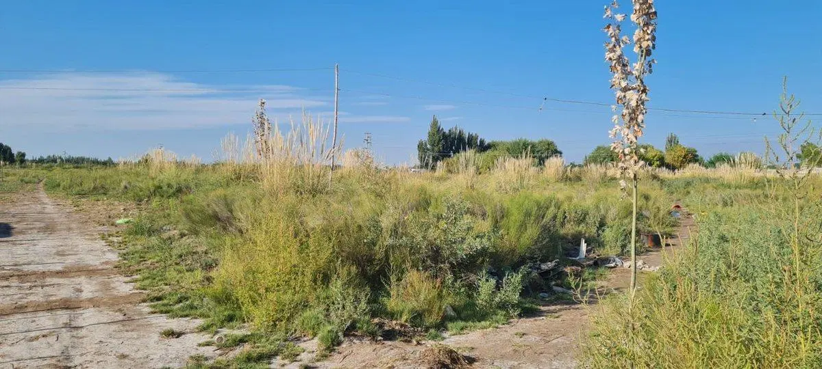 LOTE EN VENTA  EN  TUNUYÁN-MENDOZA- 2,5 HAS 4