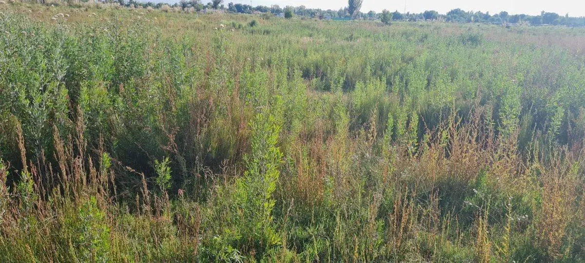 LOTE EN VENTA  EN  TUNUYÁN-MENDOZA- 2,5 HAS 2