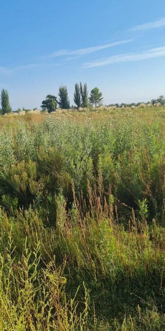 LOTE EN VENTA  EN  TUNUYÁN-MENDOZA- 2,5 HAS 3