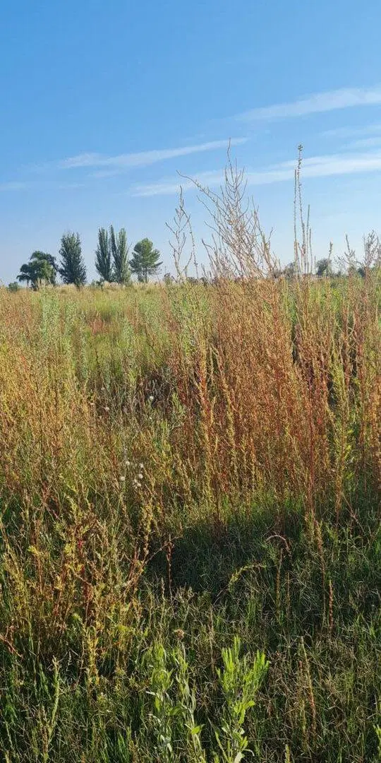 LOTE EN VENTA  EN  TUNUYÁN-MENDOZA- 2,5 HAS 5