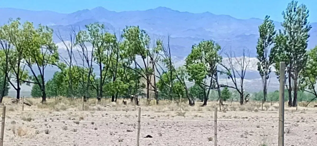 Lote San Alberto Uspallata 4