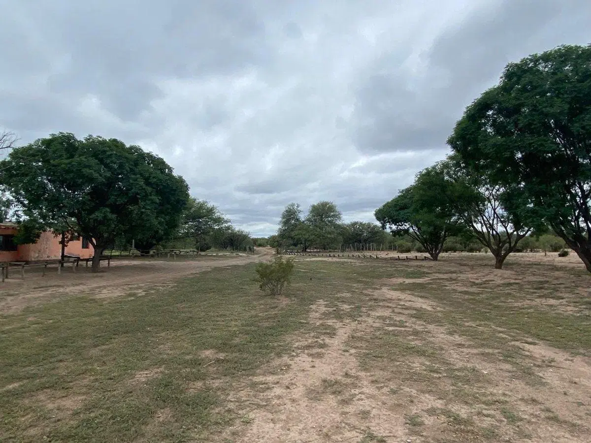 Campo en venta - Cuadro Nacional - San Rafael 3