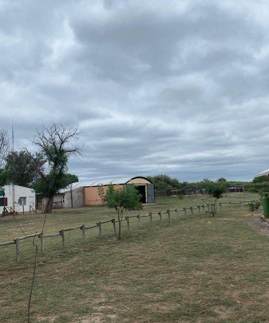 Campo en venta - Cuadro Nacional - San Rafael