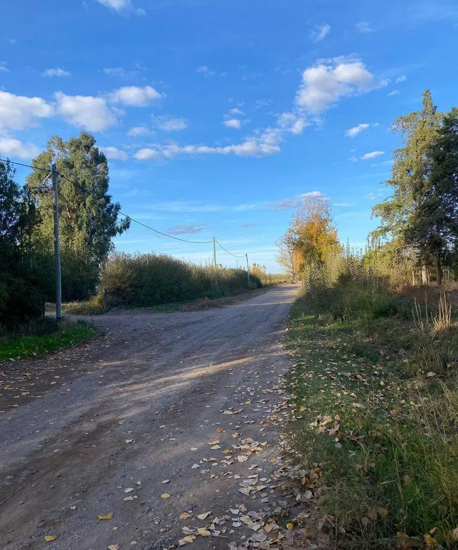 Fincas productivas sobre Ruta 40 - Uco 3