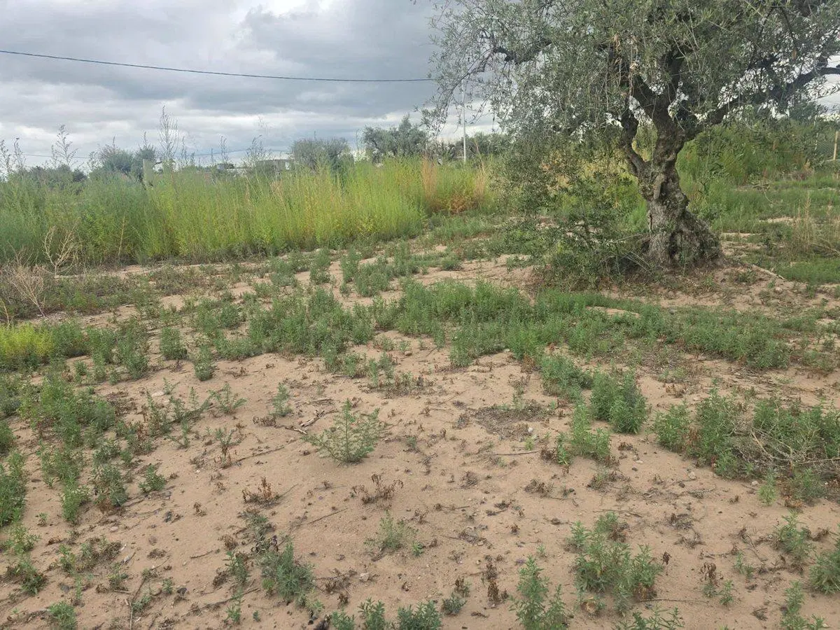 LOTE EN VENTA EN VISTALBA, B° POSTAL DEL PLATA 4