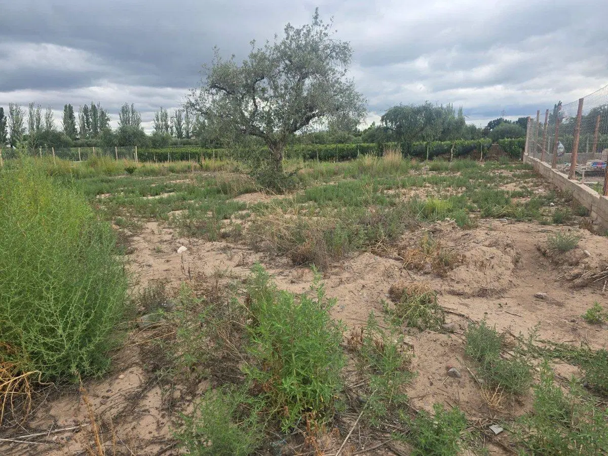 LOTE EN VENTA EN VISTALBA, B° POSTAL DEL PLATA 5
