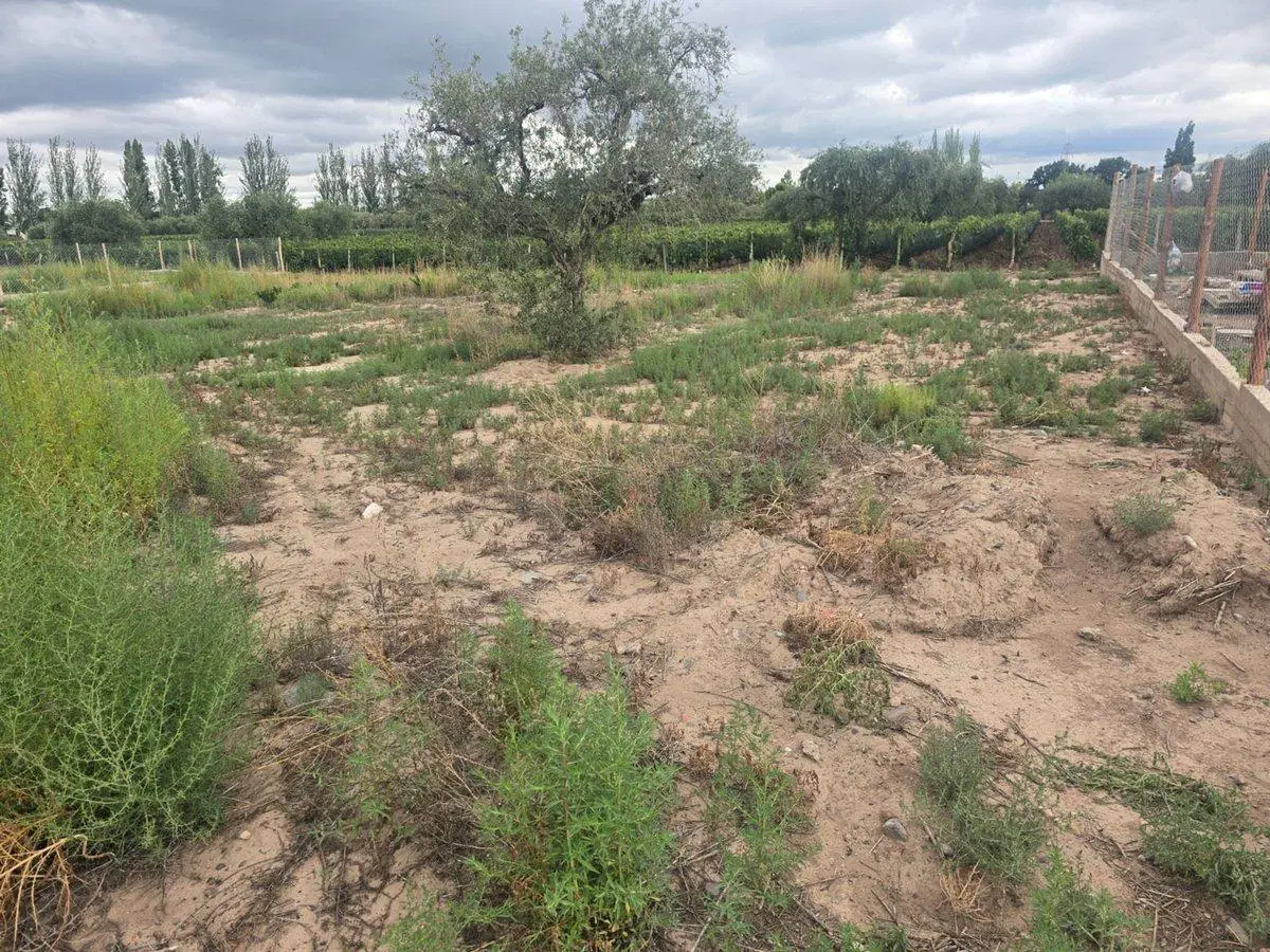 LOTE EN VENTA EN VISTALBA, B° POSTAL DEL PLATA 3