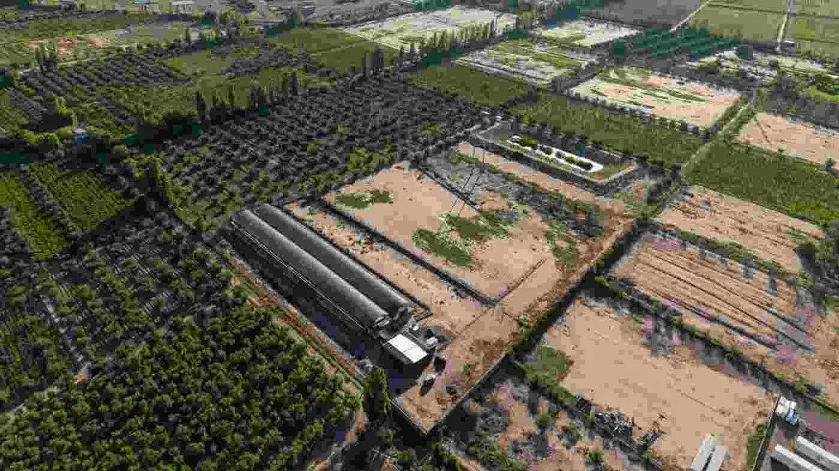 INVERSIÓN CAMPO INVERNÁCULO Y OLIVOS MAIPÚ RUTA 60 4