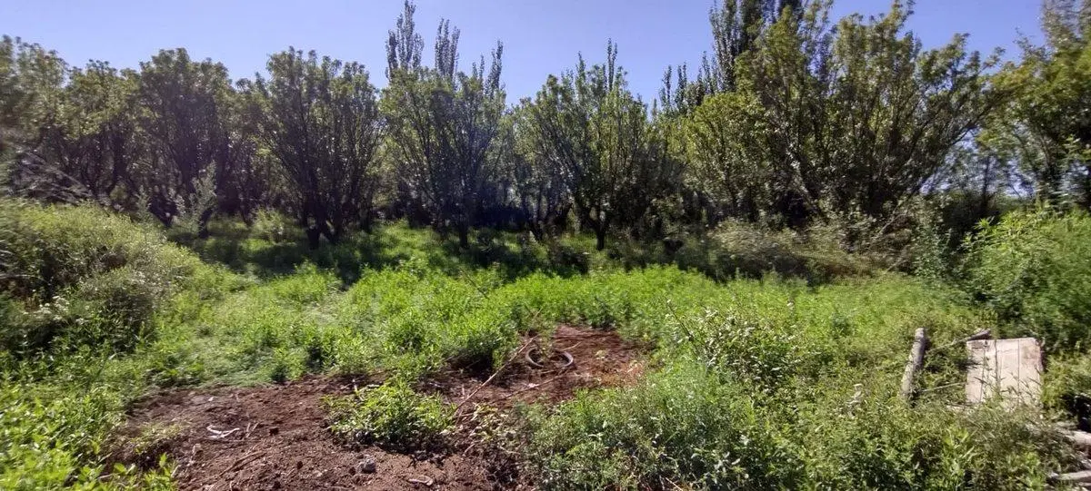 VENTA FINCA 3,5 ha CON 2 CASAS-EL PASTAL LAVALLE 4