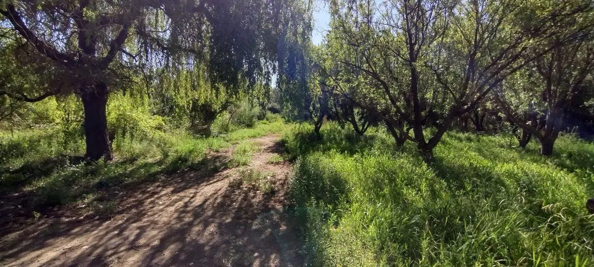 VENTA FINCA 3,5 ha CON 2 CASAS-EL PASTAL LAVALLE 3