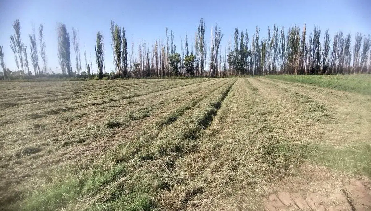 VENTA FINCA 6 ha-EL PASTAL LAVALLE 3