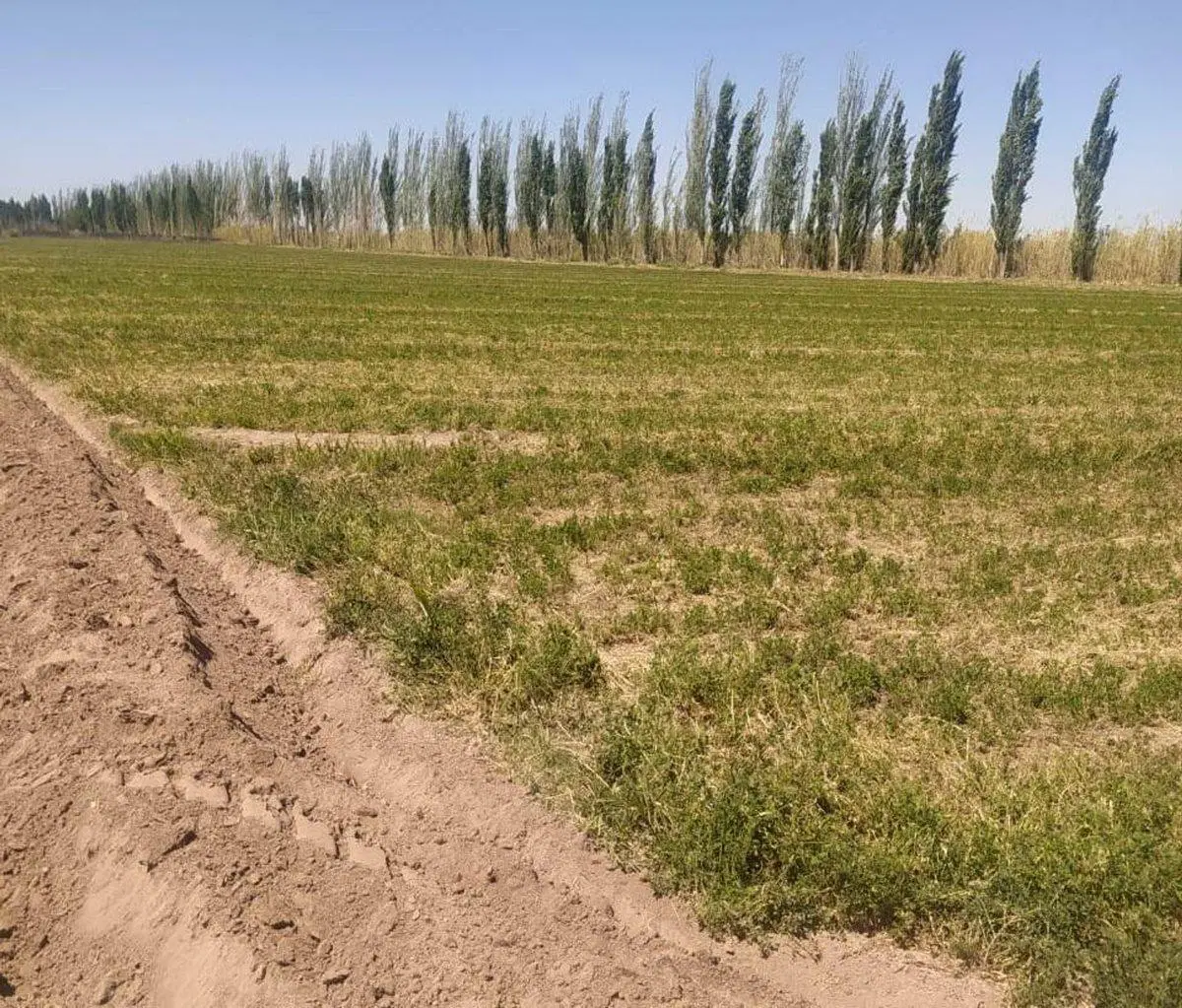 VENTA FINCA 6 ha-EL PASTAL LAVALLE 2