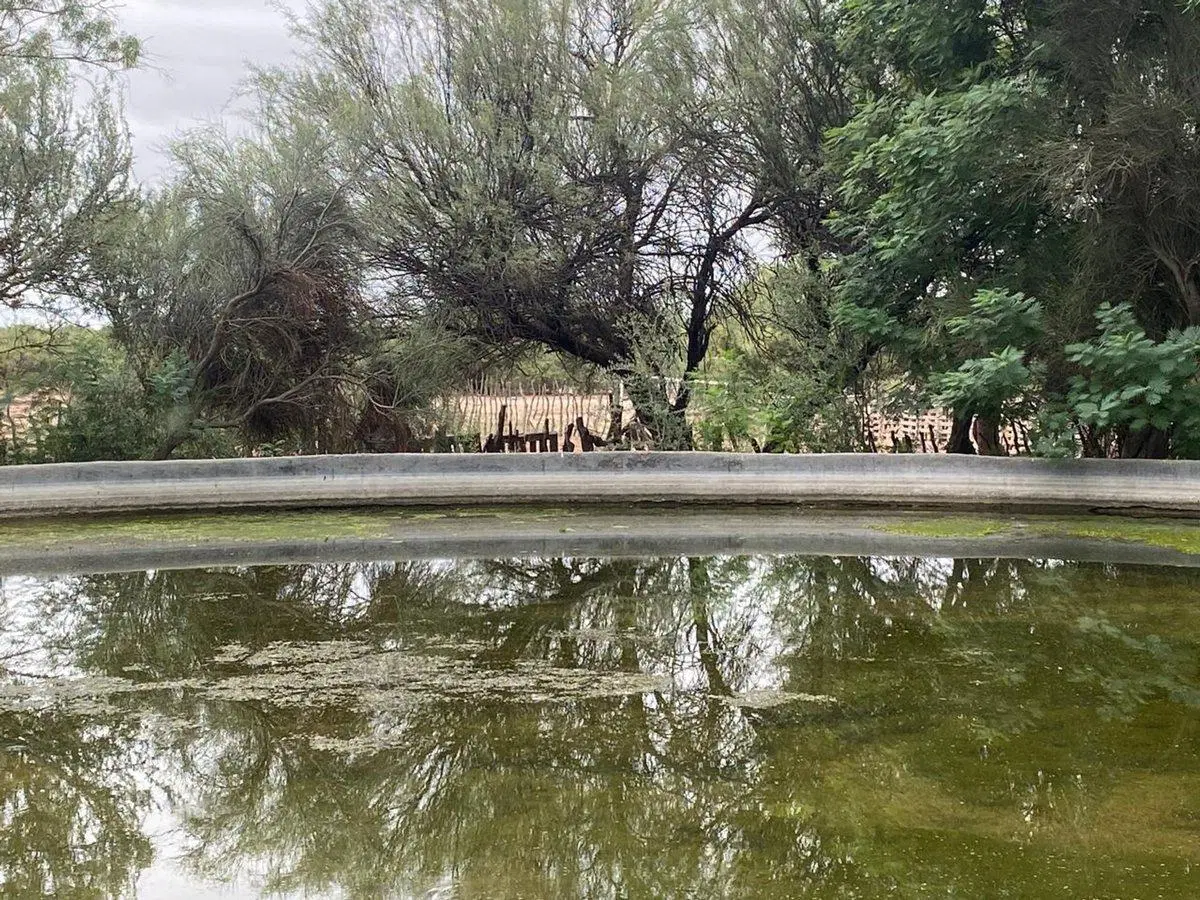 Campo en venta - Cuadro Nacional -San Rafael 4