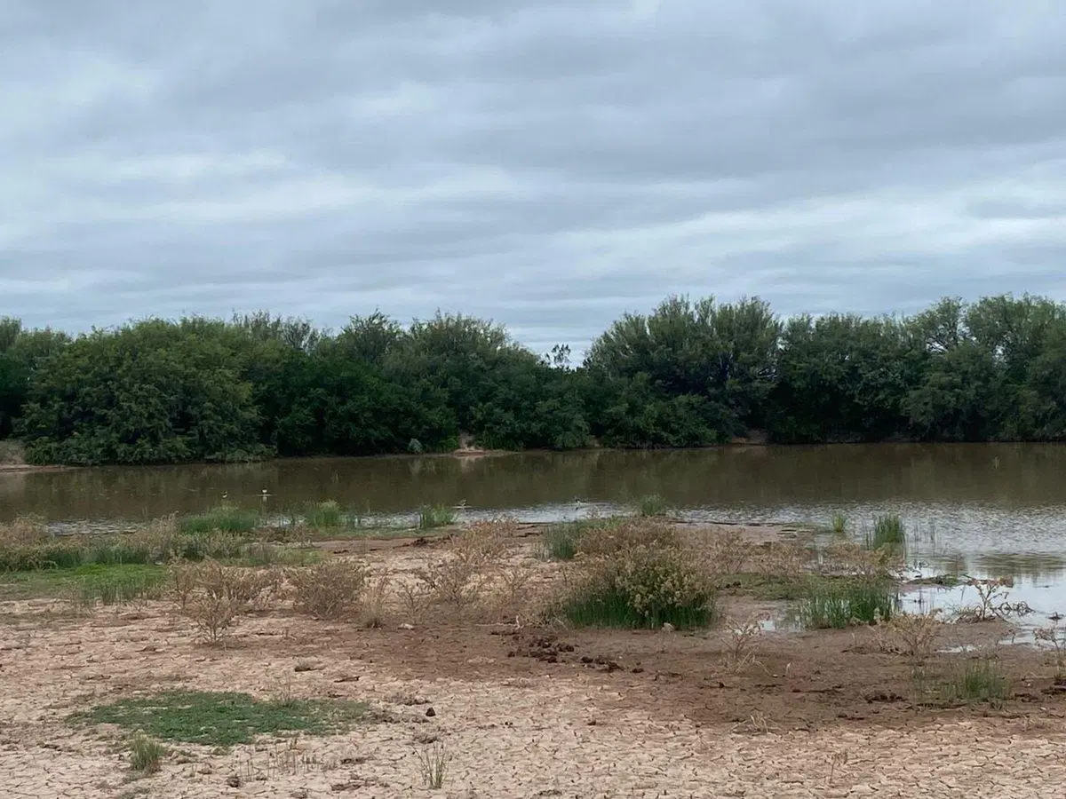 Campo en venta - Cuadro Nacional -San Rafael 5
