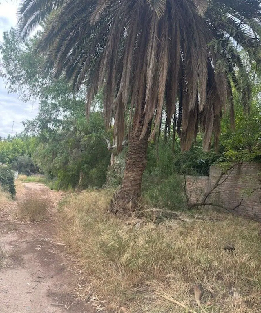 LOTE PREMIUM EN CHACRAS DE CORIA 5