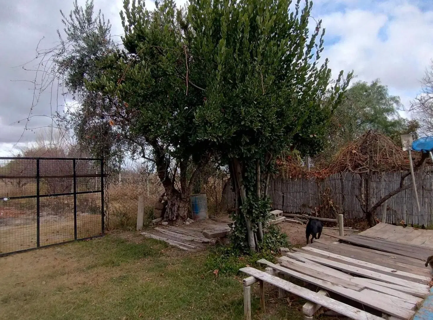 Casa con gran terreno en venta en San Martín 4