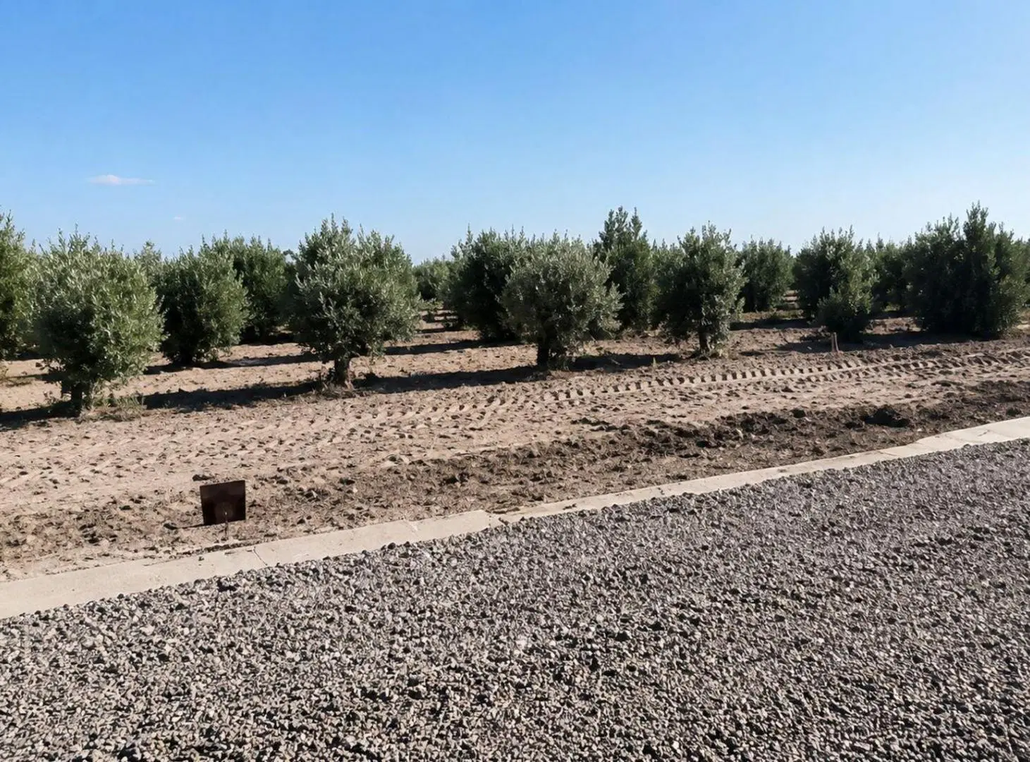 VENTA DE LOTE EN LOS OLIVOS RESIDENCIAL-LAVALLE 2