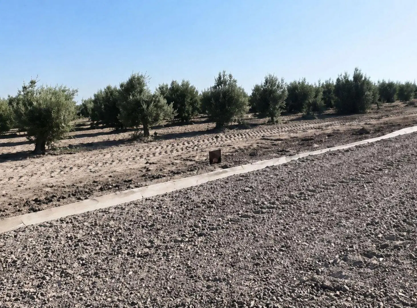 VENTA DE LOTE EN LOS OLIVOS RESIDENCIAL-LAVALLE 3