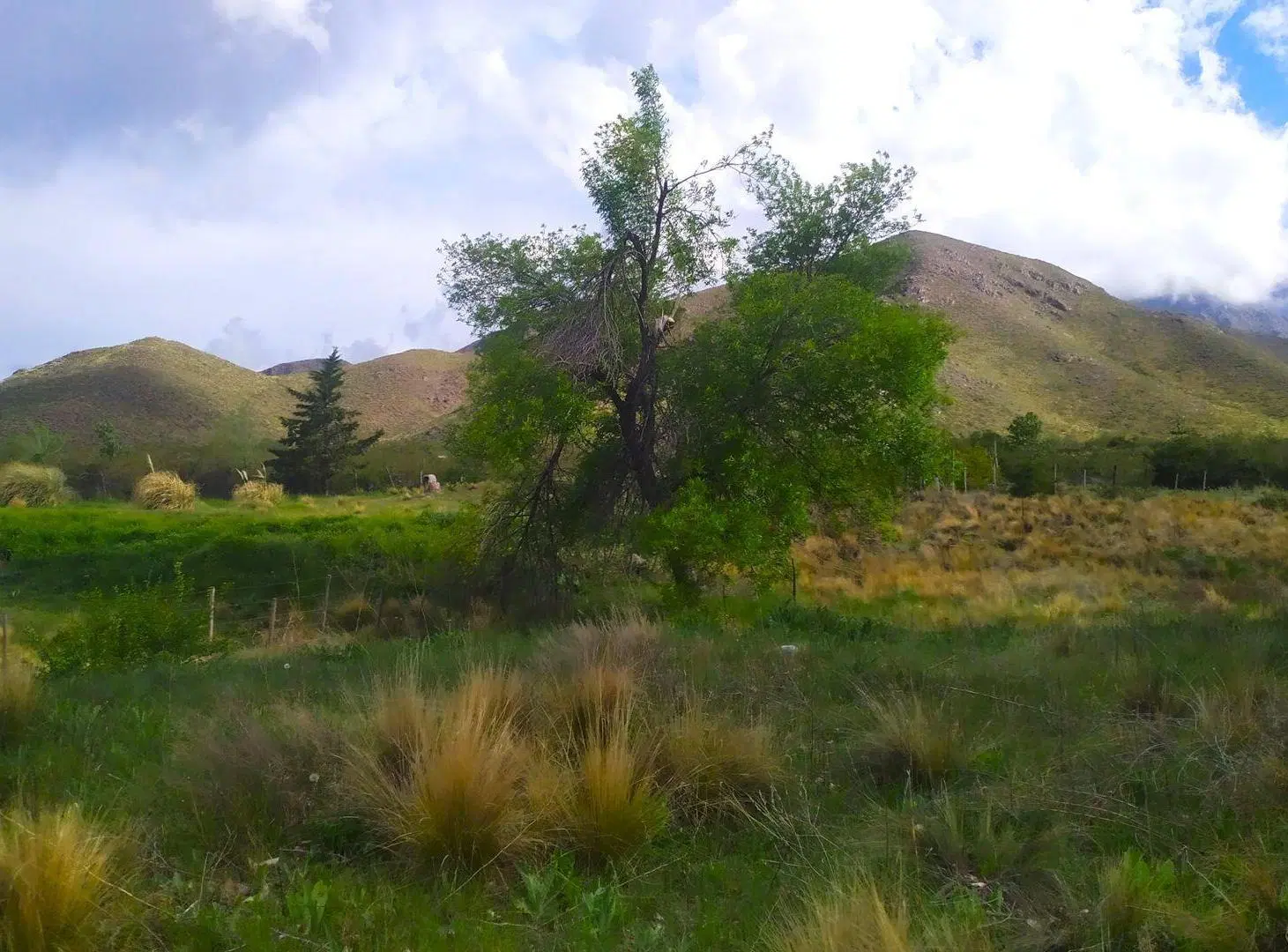 LOTE DE 1.000 M2 EN EL MANZANO 5
